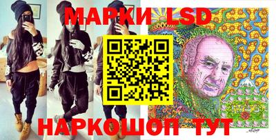 apvp Кингисепп