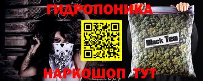 СК Кинель