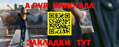 apvp Кингисепп