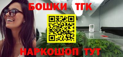 apvp Кингисепп